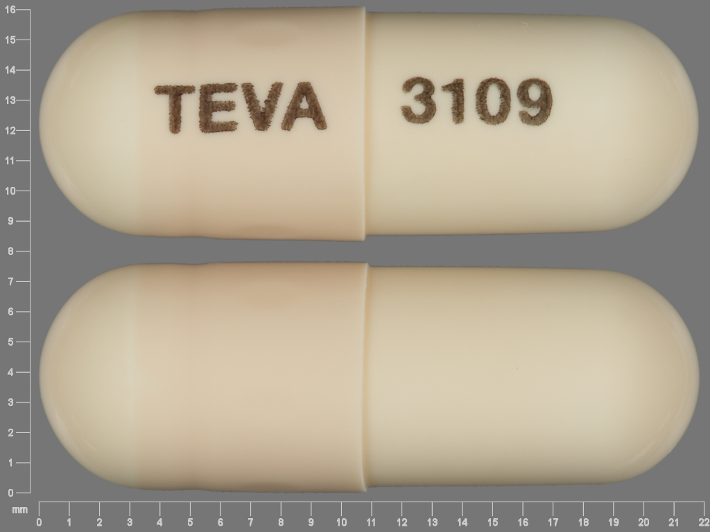 Brown Capsule pill with imprint TEVA;3109 — Amoxicillin Amoxicillin 500 mg; (view 3)