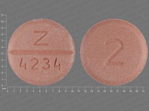 Orange Round pill with imprint 2;Z;4234 — Bumetanide Bumetanide 2 mg; (view 2)