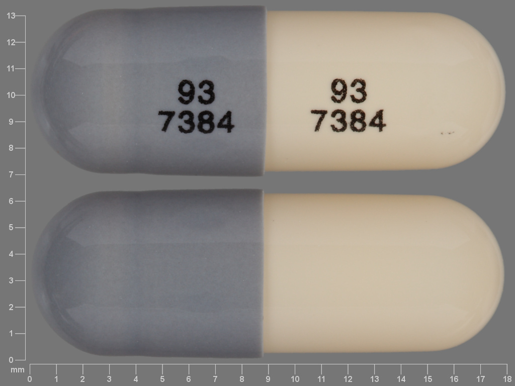 Gray;brown Capsule pill with imprint 93;7384;93;7384 — Venlafaxine hydrochloride Venlafaxine hydrochloride 37.5 mg; (view 2)