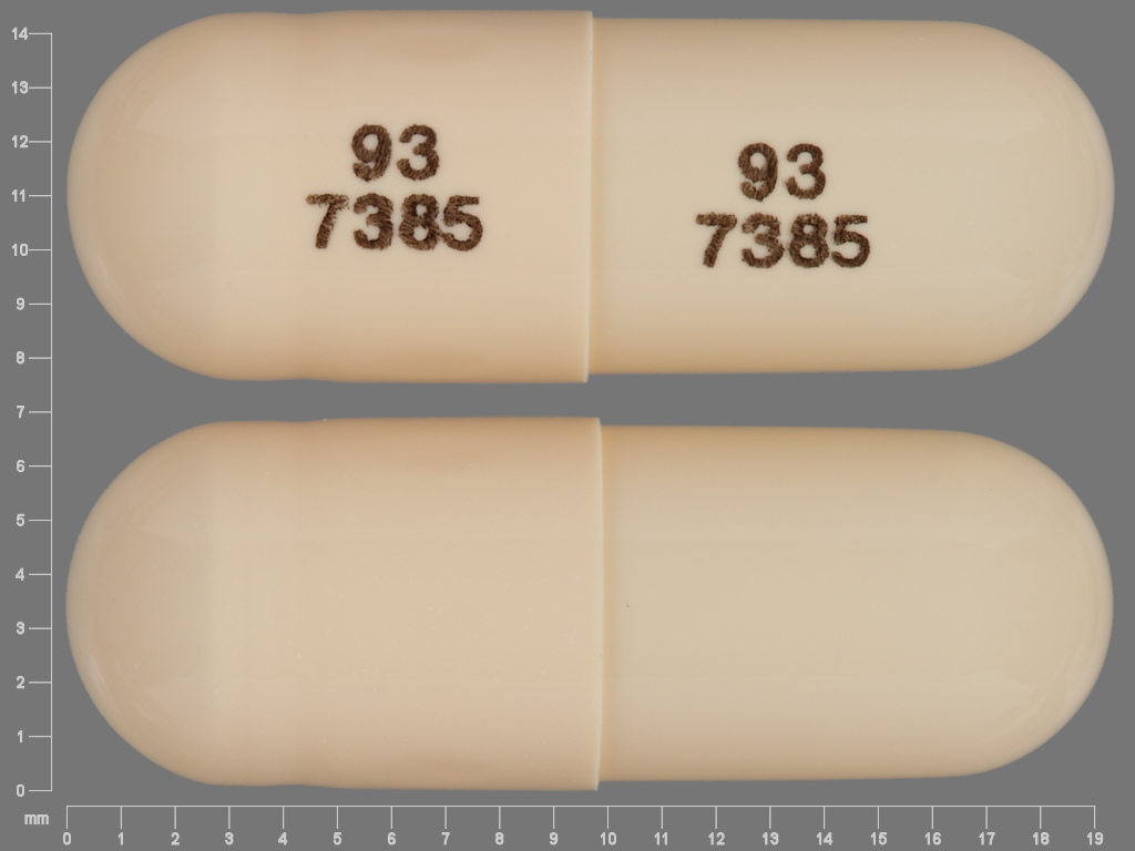 Brown Capsule pill with imprint 93;7385;93;7385 — Venlafaxine hydrochloride Venlafaxine hydrochloride 75 mg; (view 2)