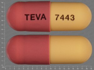 Yellow;pink Capsule pill with imprint TEVA;7443 — Fluvastatin Fluvastatin sodium 40 mg; (view 2)