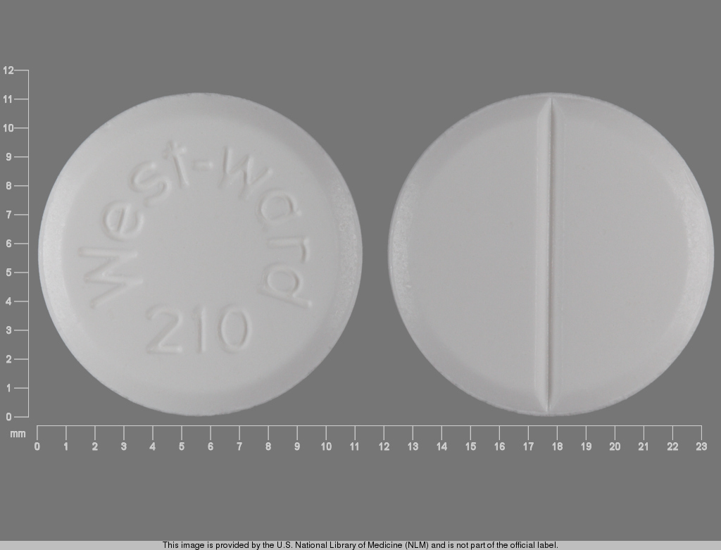 White Round pill with imprint Westward;210 — Chlorothiazide Chlorothiazide 500 mg; (view 2)