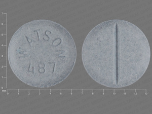 Gray Round pill with imprint WATSON;487 — Estradiol Estradiol 1 mg; (view 3)