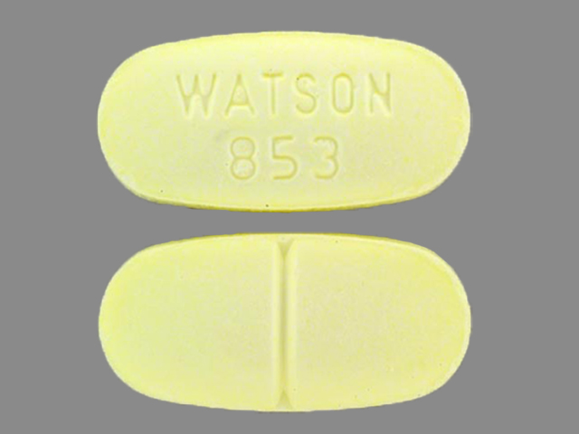 White Oval pill with imprint WATSON;853 — Hydrocodone bitartrate and acetaminophen Hydrocodone bitartrate 10 mg;acetaminophen 325 mg; (view 2)