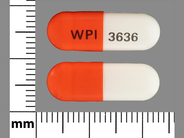 Orange;white Capsule pill with imprint WPI;3636 — Trospium chloride Trospium chloride 60 mg; (view 2)