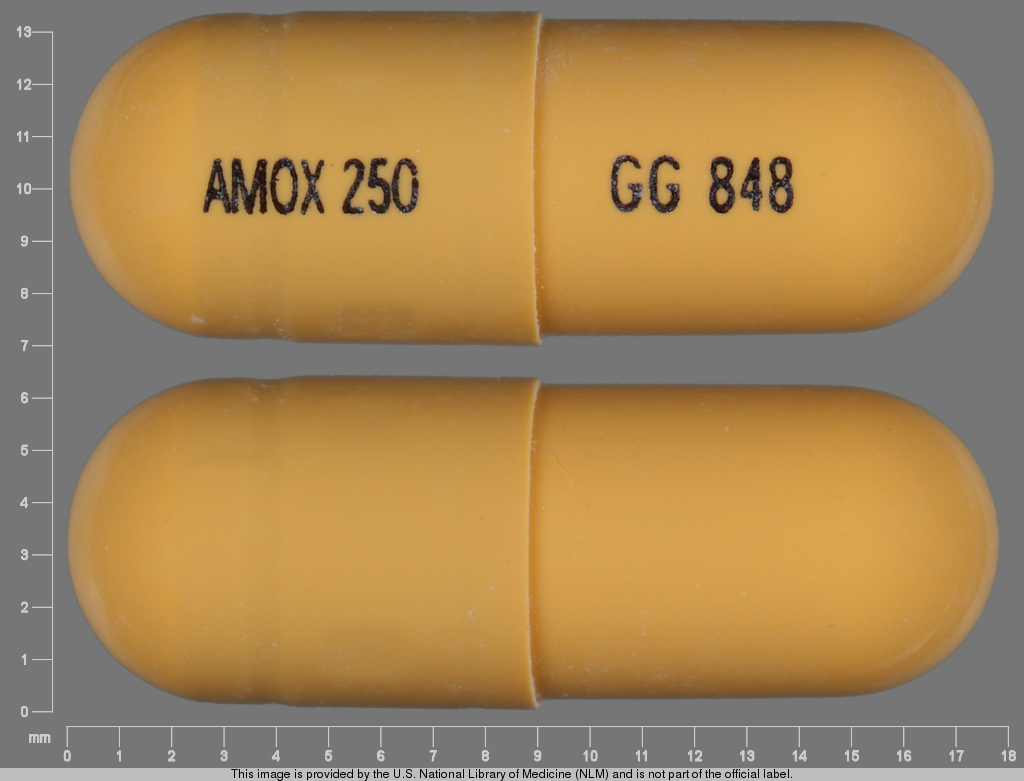 Yellow Capsule pill with imprint AMOX;250;GG;848 — Amoxicillin 250 mg (view 2)