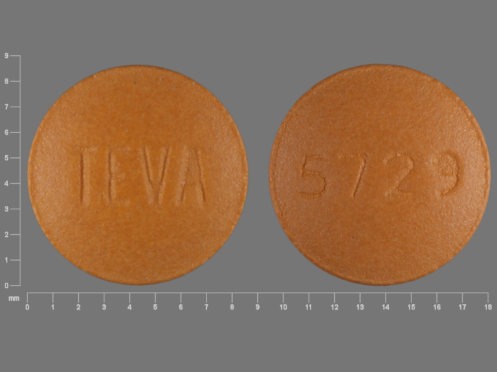 Brown Round pill with imprint TEVA;5729 — Famotidine Famotidine 40 mg; (view 3)