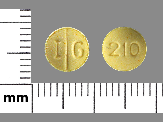 Yellow Round pill with imprint IG;210 — Folic acid Folic acid 1 mg; (view 4)