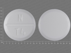 White Round pill with imprint N;T4 — Theophylline Theophylline anhydrous 400 mg; (view 2)