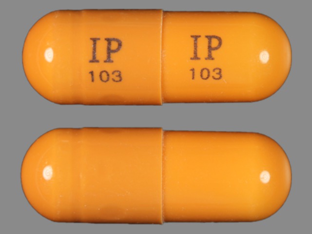 Brown Capsule pill with imprint IP103 — Gabapentin Gabapentin 400 mg; (view 2)