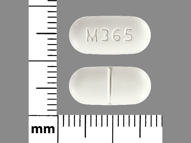 White Oval pill with imprint M365 — Hydrocodone bitartrate and acetaminophen Hydrocodone bitartrate 5 mg;acetaminophen 325 mg; (view 3)