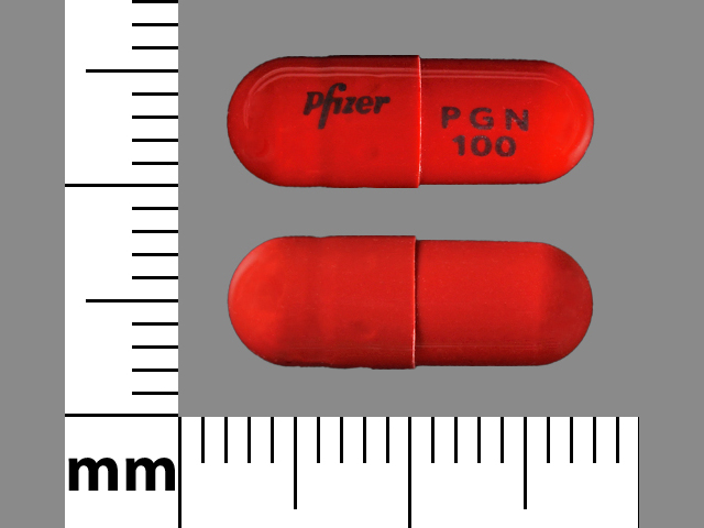 Orange Capsule pill with imprint Pfizer;PGN;100 — Lyrica Pregabalin 100 mg; (view 2)