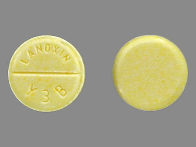 Yellow Round pill with imprint LANOXIN;Y3B — Lanoxin Digoxin 0.125 mg; (view 3)