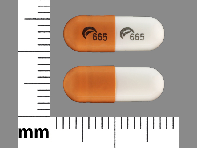 White;brown Capsule pill with imprint 665;665 — Gabapentin Gabapentin 100 mg; (view 2)