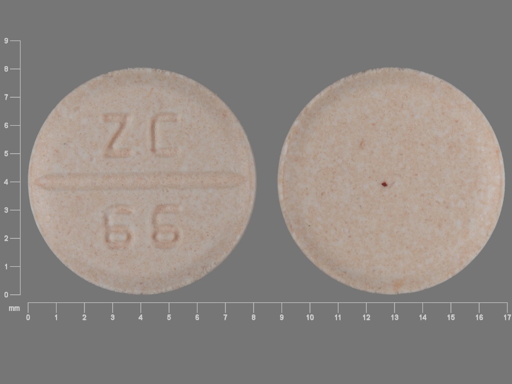 Orange Round pill with imprint ZC;66 — Venlafaxine Venlafaxine hydrochloride 50 mg; (view 3)