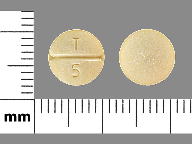 Yellow Round pill with imprint T;5 — Enalapril maleate Enalapril maleate 5 mg; (view 2)