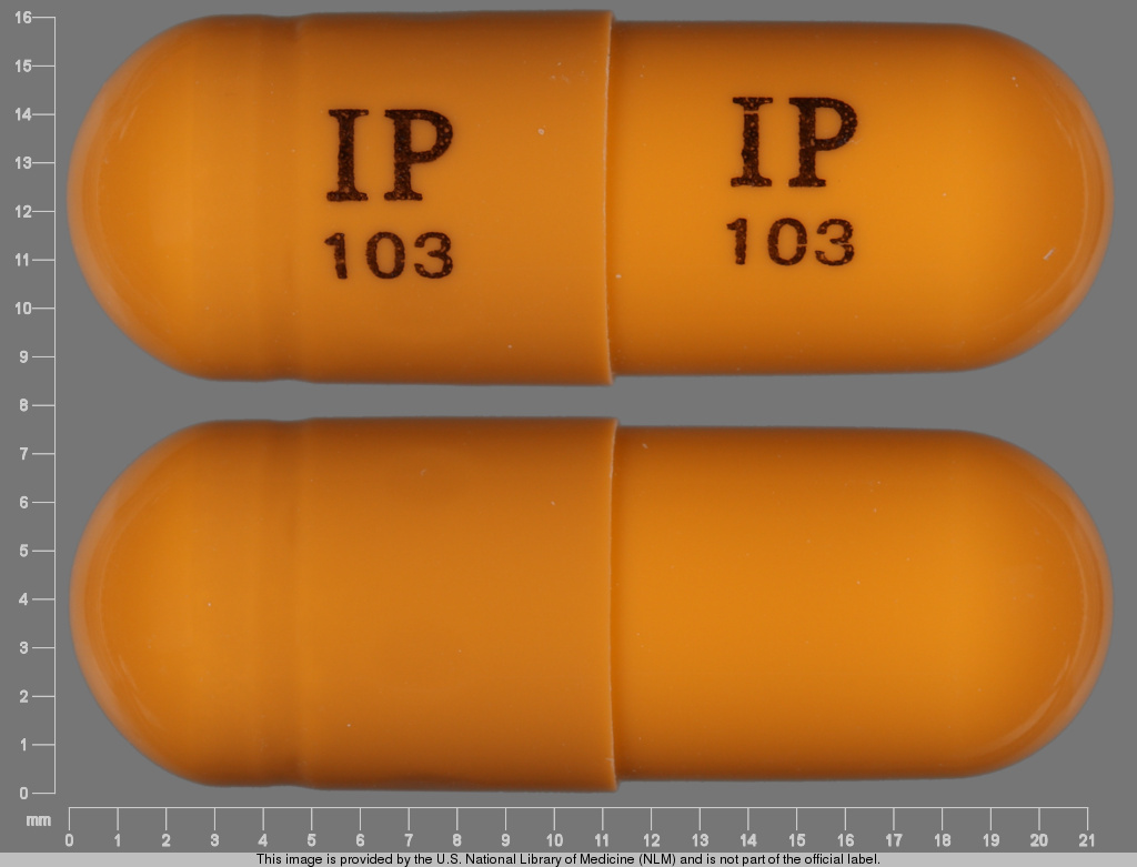 Brown Capsule pill with imprint IP103 — Gabapentin Gabapentin 400 mg; (view 3)