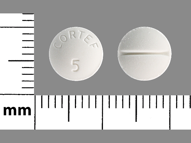 White Round pill with imprint CORTEF;5 — Hydrocortisone 5 mg (view 2)