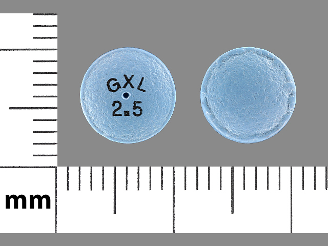 Blue Round pill with imprint GXL;2;5 — Glipizide 2.5 mg (view 2)