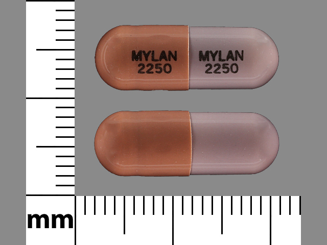 Brown;purple Capsule pill with imprint MYLAN;2250 — Mycophenolate mofetil Mycophenolate mofetil 250 mg; (view 2)