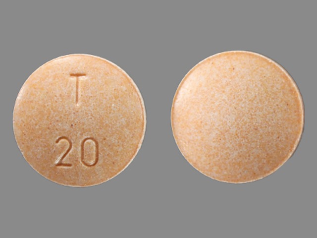 Orange Round pill with imprint T;20 — Enalapril maleate Enalapril maleate 20 mg; (view 3)