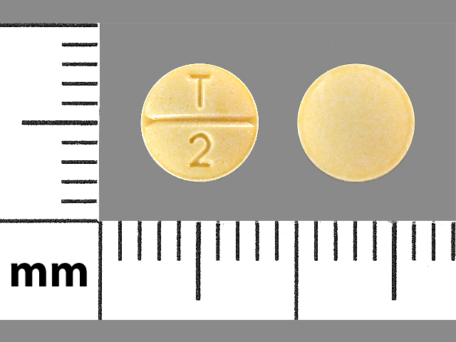Yellow Round pill with imprint T;2 — Enalapril maleate Enalapril maleate 2.5 mg; (view 4)