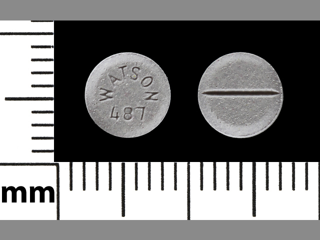 Gray Round pill with imprint WATSON;487 — Estradiol Estradiol 1 mg; (view 2)
