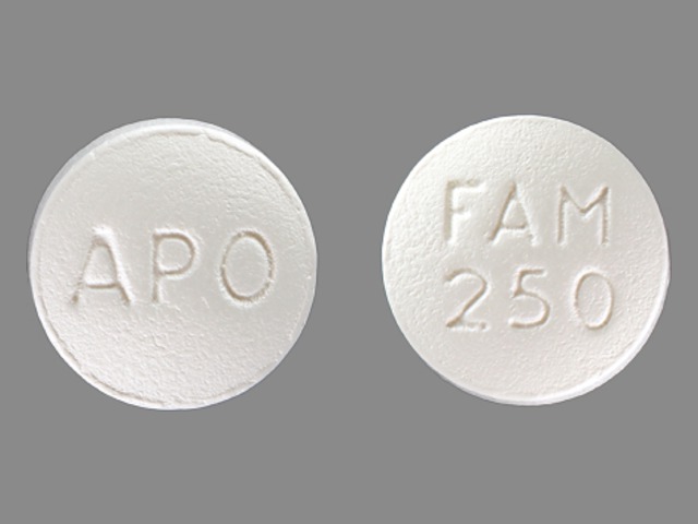 White Round pill with imprint APO;FAM;250 — Famciclovir Famciclovir 250 mg; (view 2)