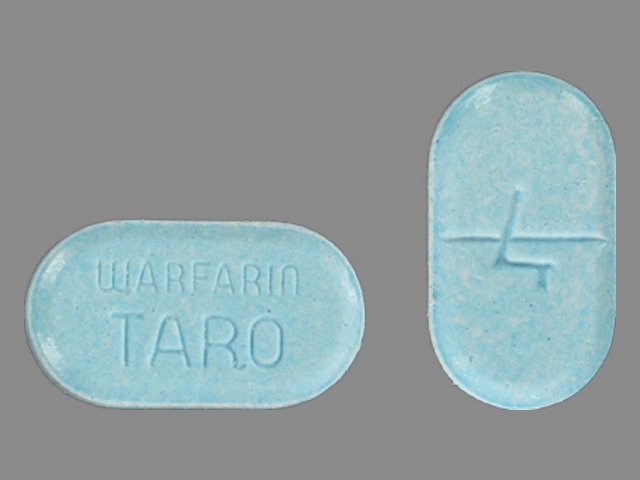 Blue Oval pill with imprint 4;WARFARIN;TARO — Warfarin sodium Warfarin sodium 4 mg; (view 3)
