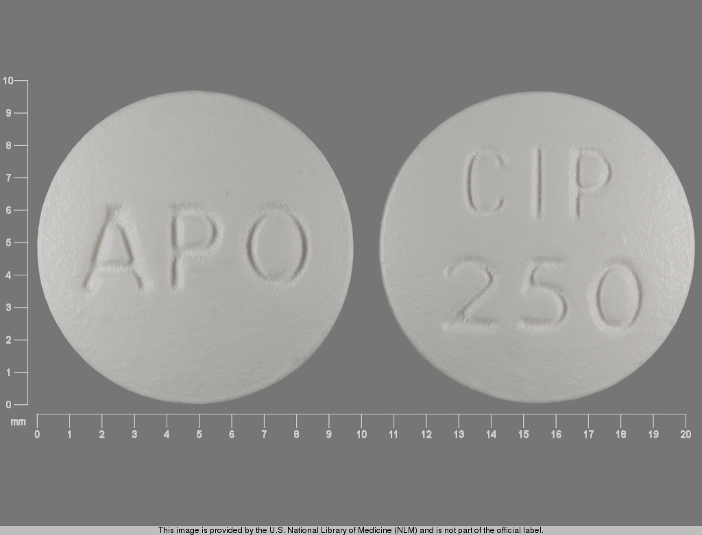 White Round pill with imprint APO;CIP;250 — Ciprofloxacin 250 mg (view 2)