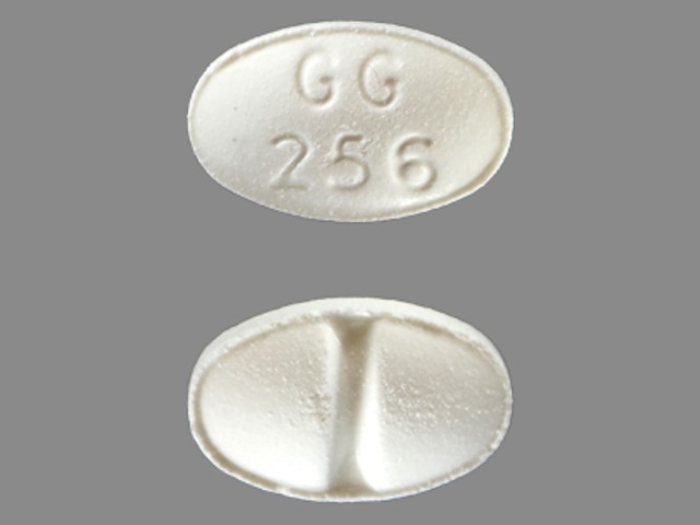 White Oval pill with imprint GG256 — Alprazolam Alprazolam .25 mg; (view 2)