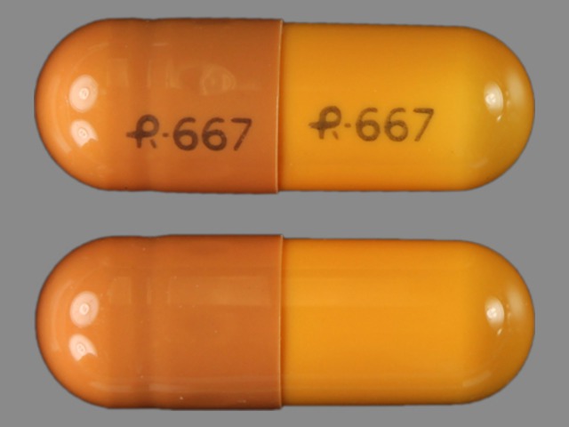 Orange;brown Capsule pill with imprint R667 — Gabapentin Gabapentin 400 mg; (view 3)