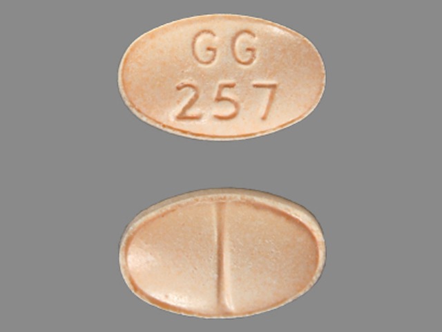 Orange Oval pill with imprint GG257 — Alprazolam Alprazolam .5 mg; (view 2)