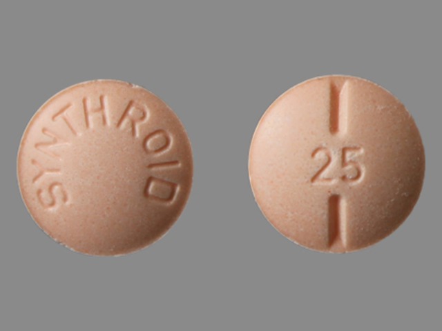 Orange Round pill with imprint SYNTHROID;25 — Synthroid Levothyroxine sodium 25 ug; (view 2)