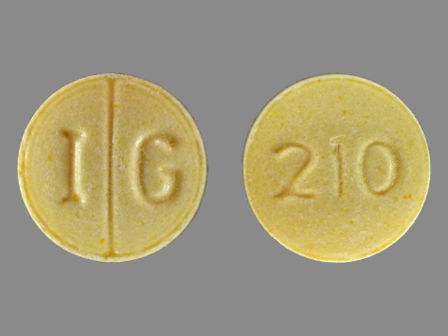 Yellow Round pill with imprint IG;210 — Folic acid Folic acid 1 mg; (view 3)