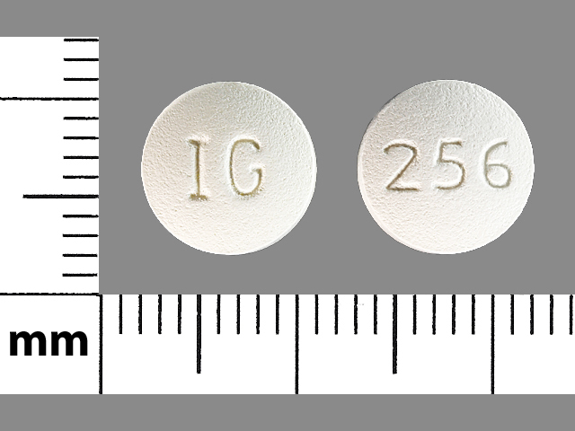 White Round pill with imprint IG;256 — Raloxifene hydrochloride Raloxifene hydrochloride 60 mg; (view 2)