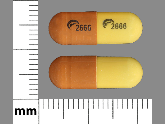 Yellow;brown Capsule pill with imprint 2666;2666 — Gabapentin Gabapentin 300 mg; (view 2)