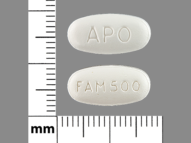 White Oval pill with imprint APO;FAM500 — Famciclovir Famciclovir 500 mg; (view 3)