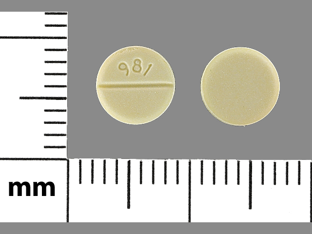 Yellow Round pill with imprint 981 — Digoxin Digoxin 125 ug; (view 2)