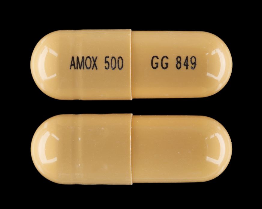 Yellow Capsule pill with imprint AMOX;500;GG;849 — Amoxicillin Amoxicillin 500 mg; (view 2)