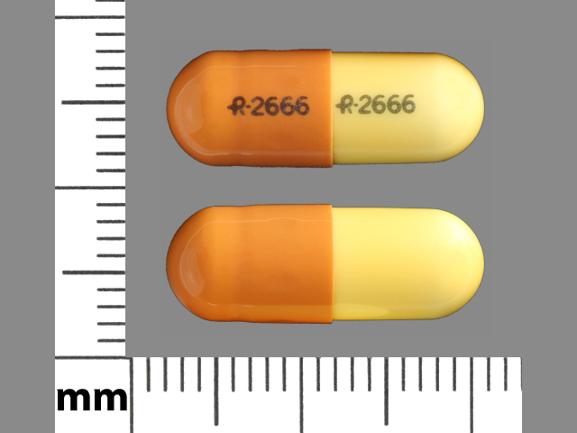 Gray Oval pill with imprint R;637 — Gabapentin Gabapentin 800 mg; (view 2)